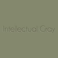 Intellectual-Gray