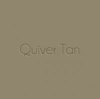 Quiver-Tan1