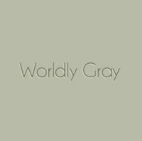 Worldly-Gray