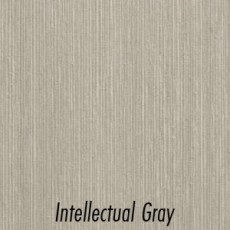 Intellectual Gray