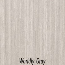 Worldly Gray