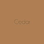 Cedar1