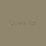 Quiver-Tan1